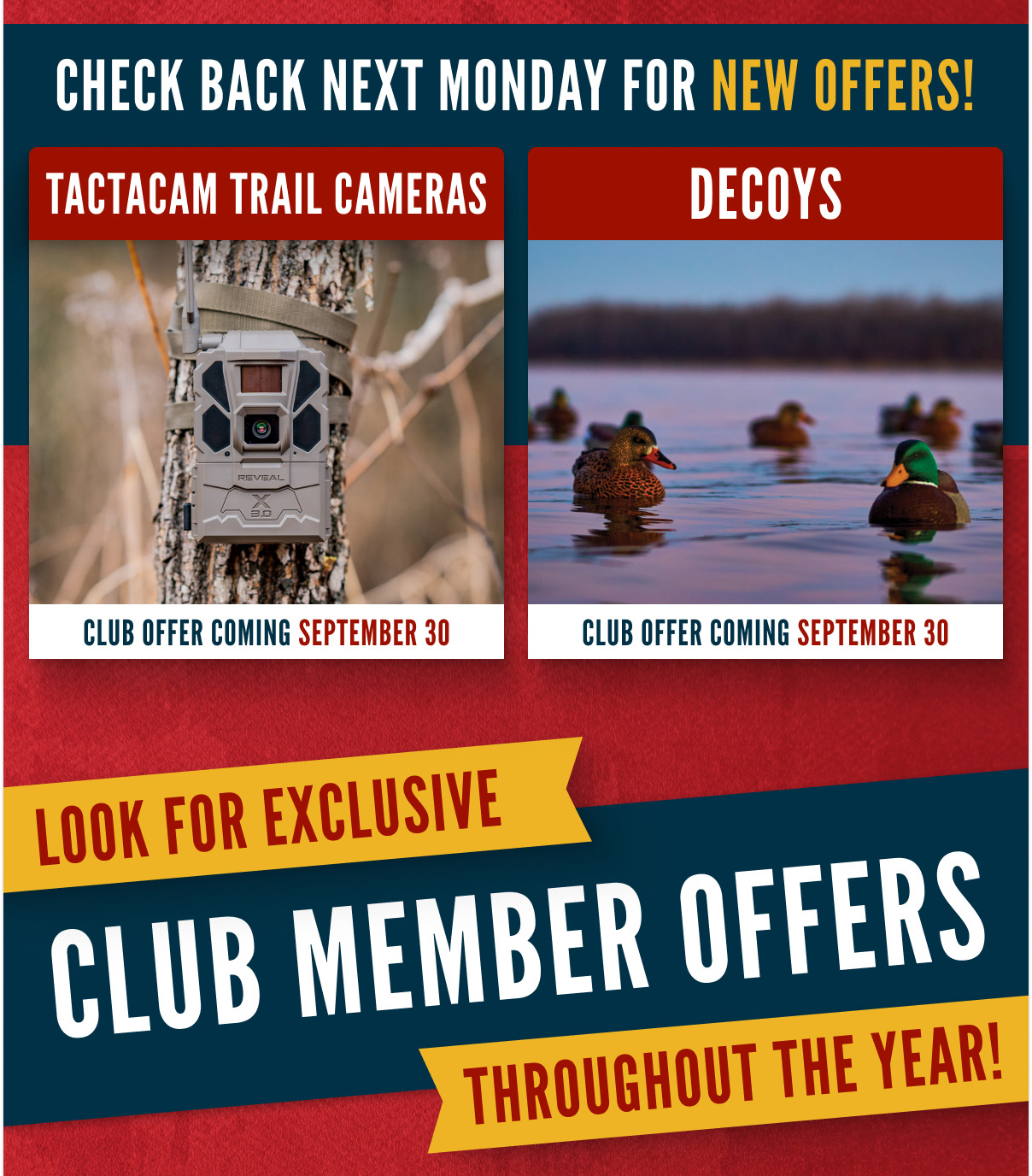 CLUB Member Mondays