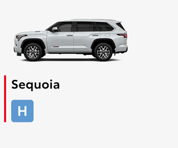 Sequoia