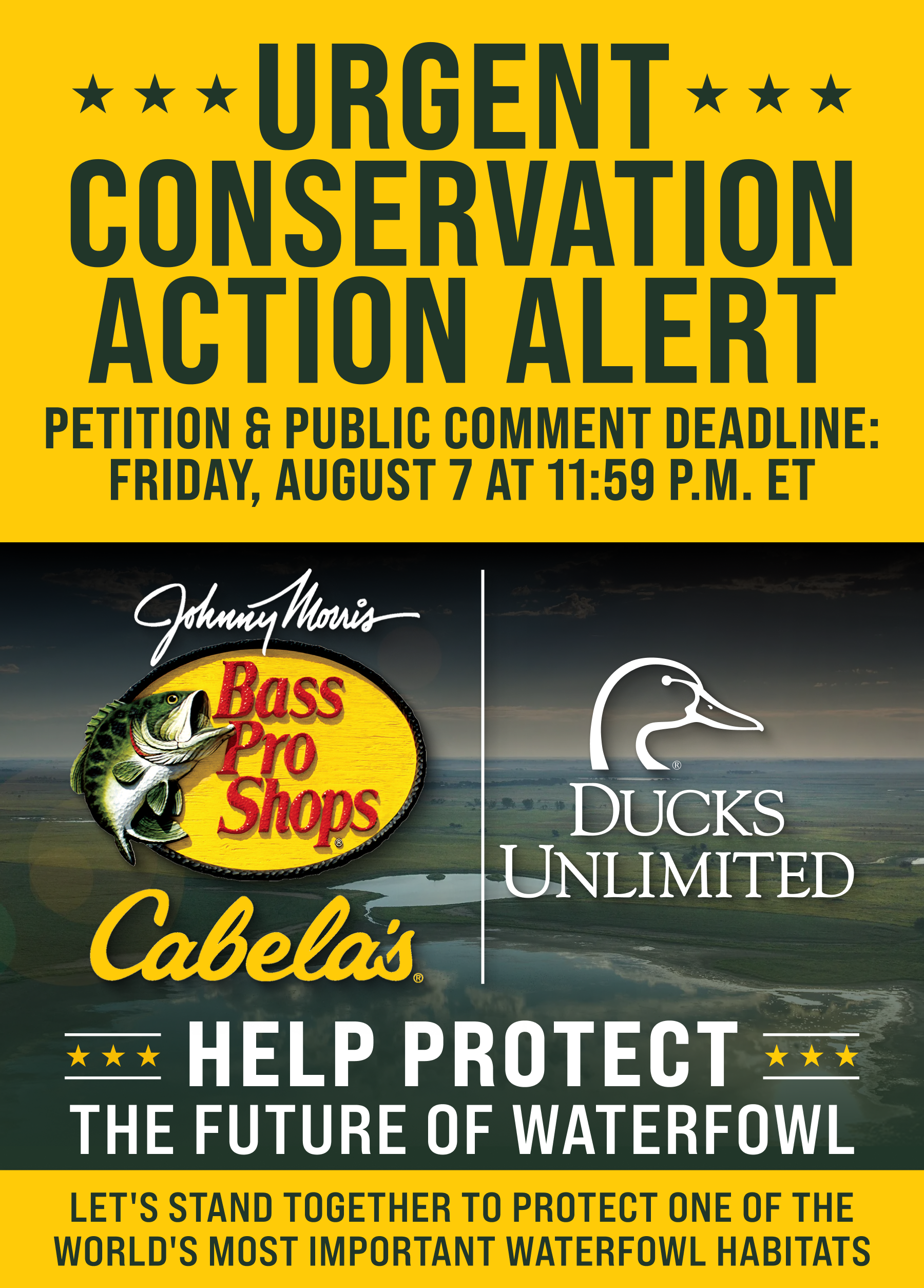 Help Protect the Future of Waterfowl