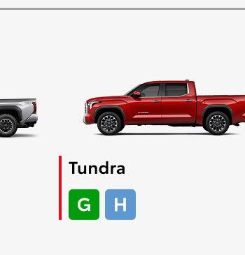 Tundra